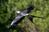 DSC_0456-Edit