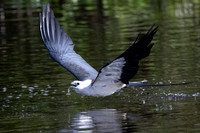 DSC_1906-Edit