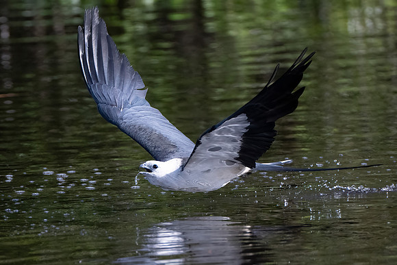 DSC_1906-Edit
