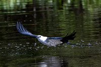 DSC_1907-Edit