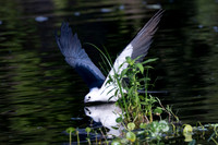 DSC_1837-Edit