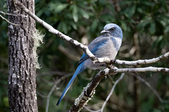 DSC_8288-Edit